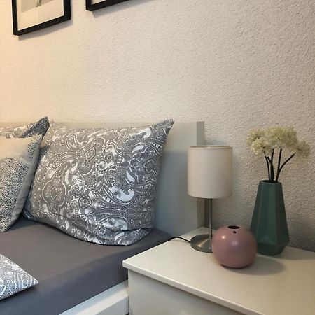 No2 Top Apartment4You - 3 Zimmer, 1-6 Pers, Saarbruecken - Jaegersfreude ザールブリュッケン エクステリア 写真